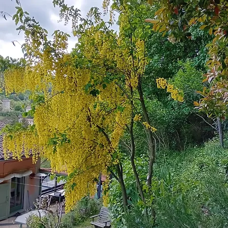 Les Terrasses Du Verger Nocleg ze śniadaniem Monistrol-dʼAllier